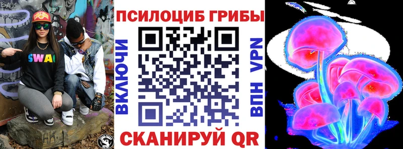 Галлюциногенные грибы Psilocybe  Купить  Строитель 